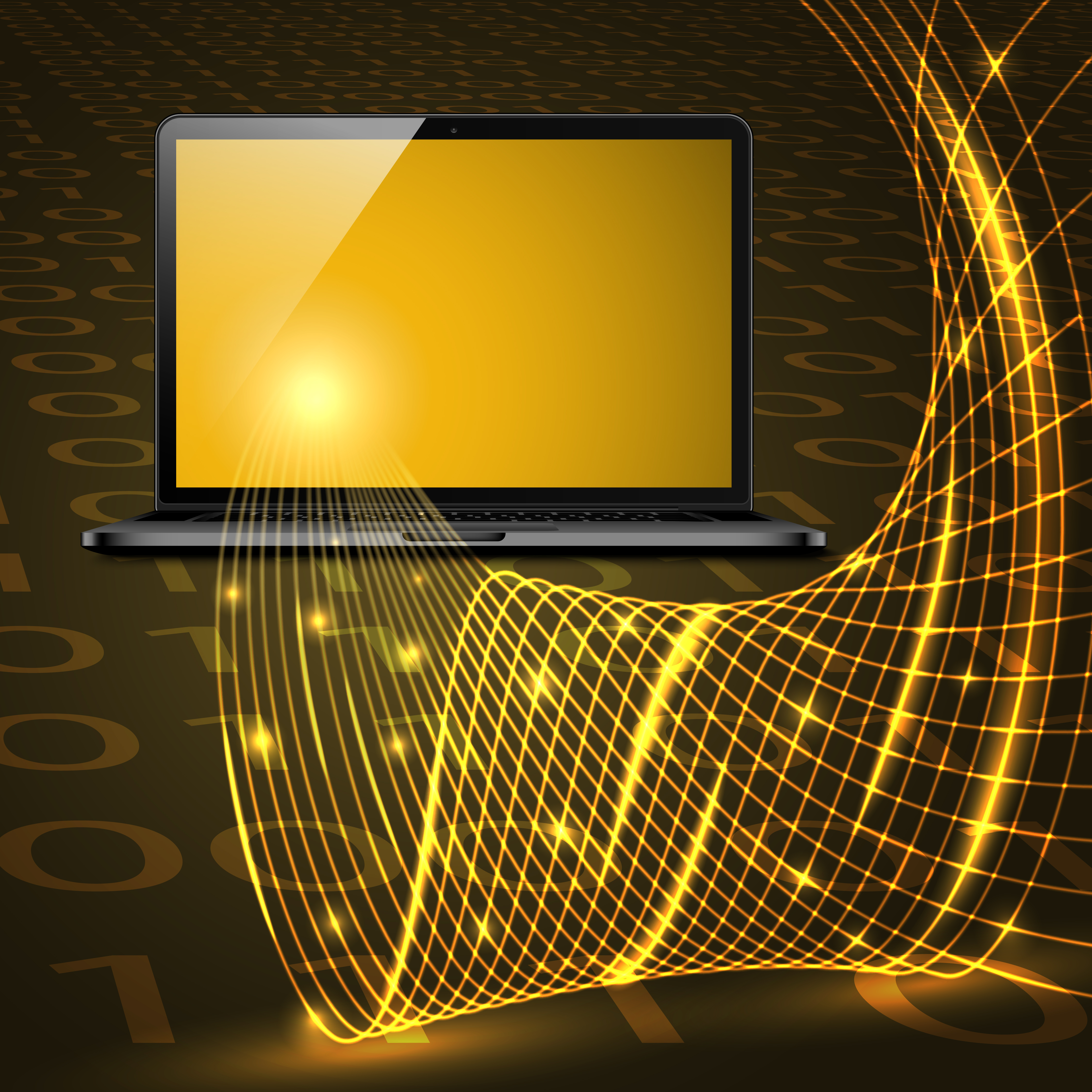 Custom Web Development